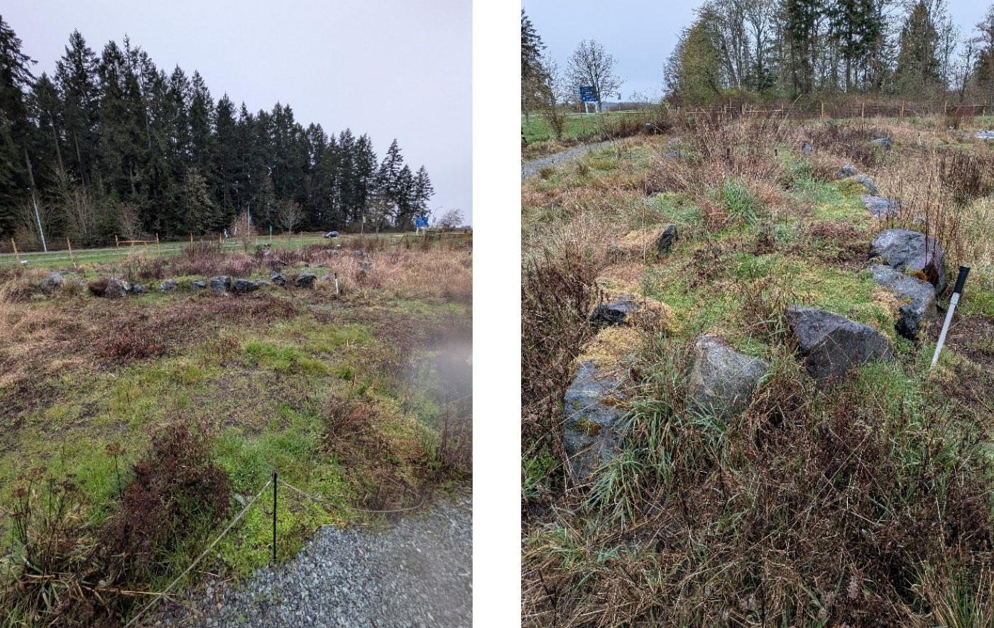 Sustainable landscaping at Victoria Airport showing indigenous bushes, wildflowers and native grasses planted around NAV CANADA LEED-certified control tower